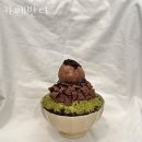 카페반디 이미지