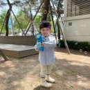 치해농장 | 1), 강릉 2박3일 여행 / 셔츠 패밀리룩 / 대관령 아기동물농장 / 스카이베이호텔 경포 / 물놀이 고고!