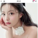 비올레브