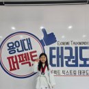 새하늘용인대태권도 | 3월!! 태권! 태권! 기합소리 ! 용인대퍼펙트태권도