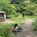 고봉이네 이미지