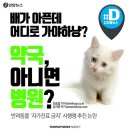 하냥 이미지