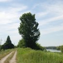 안성천 쉼터 이미지