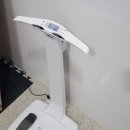 예움핏