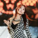 보라드림
