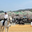 2024 럭키비키★렛츠런파크 서울 돌아보기★주말 가볼만한곳