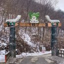 고니골농장 이미지