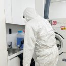 장기주공아파트 | 월평동 LH주공 아파트 바퀴벌레 퇴치 후기 | 어르신 혼자 거주하는 복도형 오래된 아파트 사례 (미소...