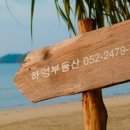 육번길육 네이버블로그
