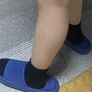 투다리(그린점) 이미지