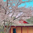 지장마을경로당 이미지