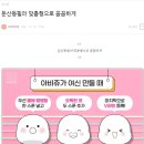 아비쥬 이미지