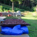 홍성농장 이미지