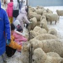 선망목장 이미지