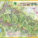 180회 (3월13일 일요일) 여행걷기는 단양 선암골 생태유람길을 갑니다.. 이미지