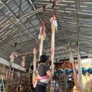 액티비티 추천: 사트바요가 satva yoga 플라잉요가 원데이 클래스 후기 & 치윗치와 망고 빙수 존맛탱 후기