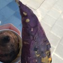 오곡 오지 | 2025 여주오곡나루축제 경기공예페스타 후기 주차 셔틀버스