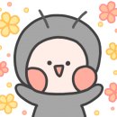제천황기명태 이미지