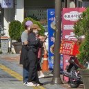 중앙동253 이미지