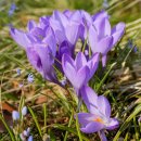 LG전자서비스센터 이미지