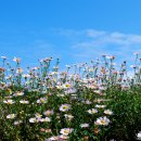 풍경이 머무는 곳 이미지