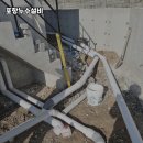 작은등샘 이미지