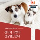 강북 24시 N 동물의료센터 | 2024 강아지, 고양이 건강검진 특별한 혜택! 길음미아동물병원, 24시 N동물의료센터 강북점