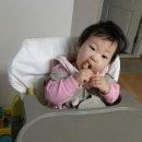 랄라홍 이미지