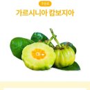 효랩스