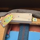 파라디아1차 이미지