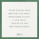 자연을 엮는 라탄공예 이미지