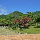 진도 운림산방 이미지
