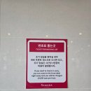 라마다호텔&스위트평창 수영장 | 라마다 호텔 &amp; 스위트 평창 후기
