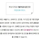 대성오토랜드 이미지