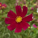 설곡리 마을회관 이미지