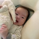 세아장 이미지