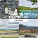 나라팜 | 홋카이도]아사히야마 동물원, 비에이/후라노 1일 여행 코스 청의 호수, 사계채의 언덕, 팜 도미타 후기
