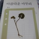 김포아라농장 | [정보] 꽃잎 수에 따른 클로버 꽃말 &amp; 각종 클로버 모음(세잎, 네잎, 오잎, 육잎 클로버)+ 두잎클로버