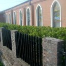 나무안에서 이미지