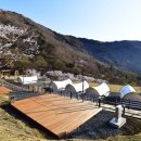 월아산자연휴양림(진주) 이미지