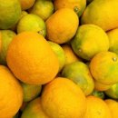 유라농장 이미지