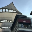 [경기/일산/웨스턴돔/미용실] 내추럴한 트렌디함, 페일펌으로 완성한 후기
