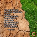 아랑 고고장구 이미지