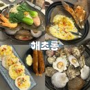 해초롱 이미지