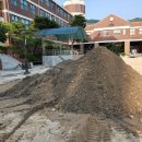 서울불암초등학교 이미지