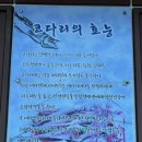 수원 광교 카페거리 한식 코다리 맛집 미스터코다리 본점