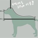 남부켄넬 이미지
