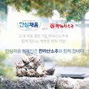 청결방역공사