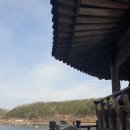 안동(남 여)경로당? | 안동 월영교 유래 힐링 산책길 감성 여행