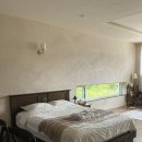 스테이캄드 이미지